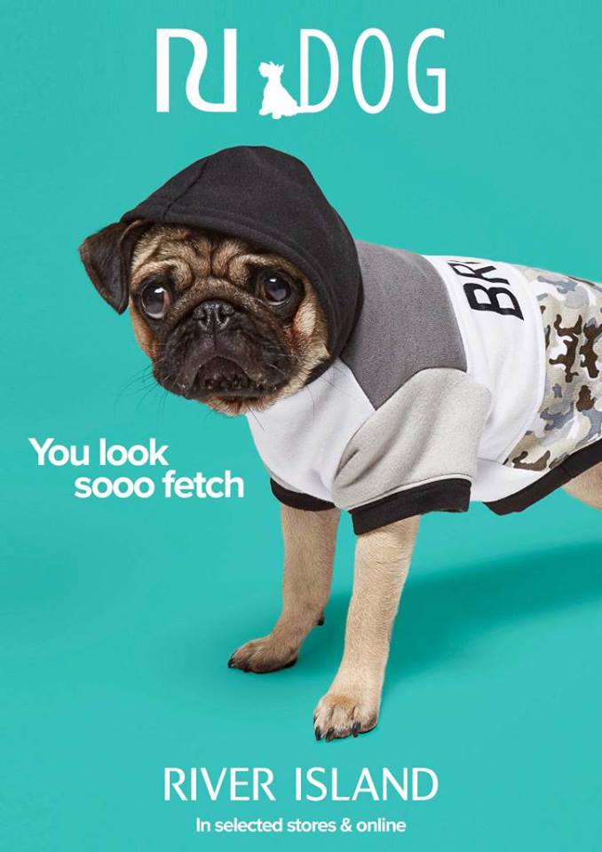 Pooch fashion in River Island, New Square Shopping Centre