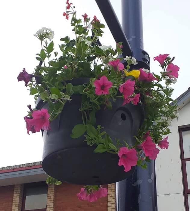 Welcome to our Summer Hanging Baskets!