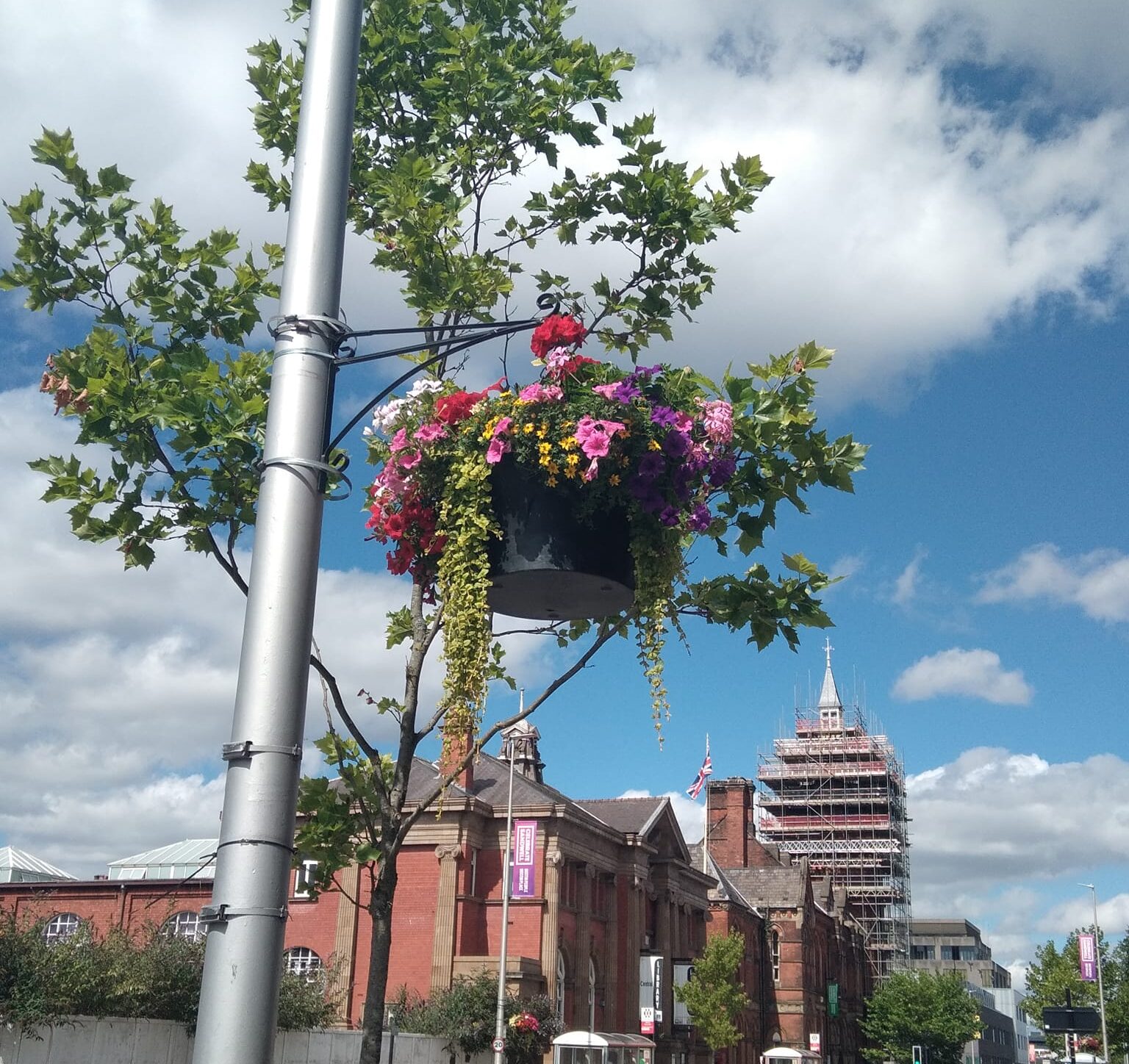 Summer Hanging Baskets in Full Bloom