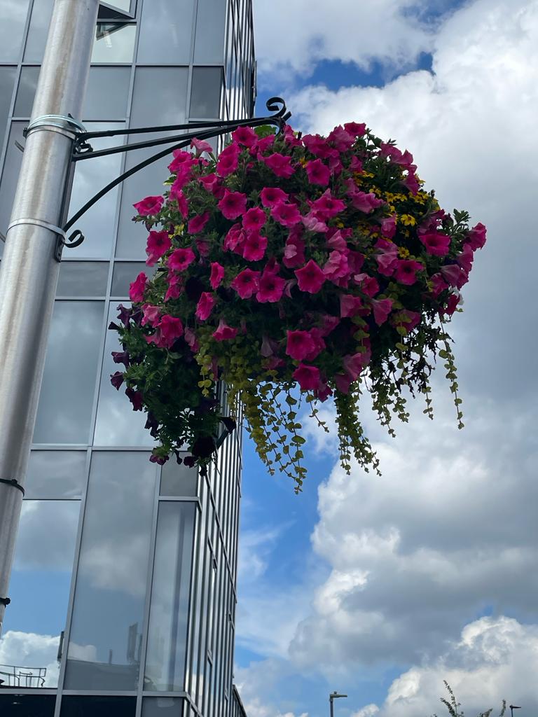Blooming hanging baskets in West Bromwich Town