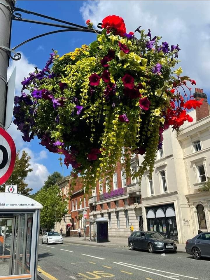 Winter Baskets in West Bromwich Town