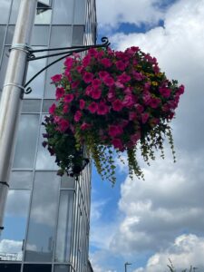West Bromwich BID is happy to announce that we will be installing 70 new summer hanging baskets in West Bromwich Town May/June.